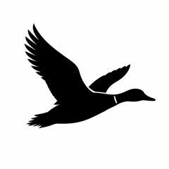 Avian Peptides